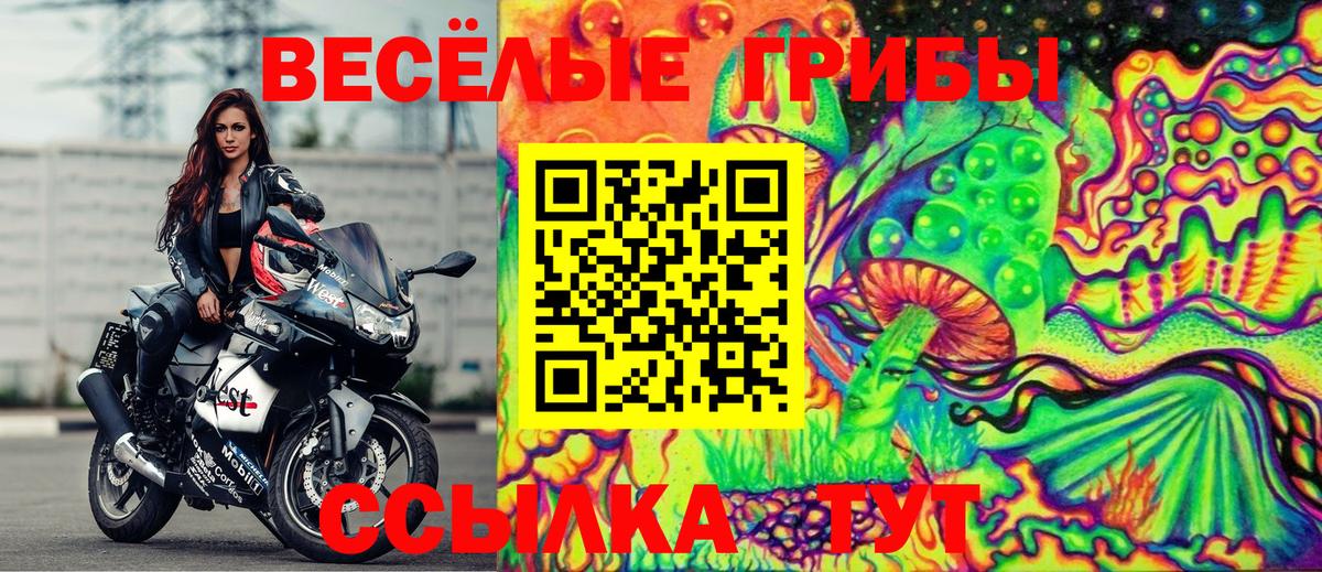 Псилоцибиновые грибы Psilocybine cubensis Ялта